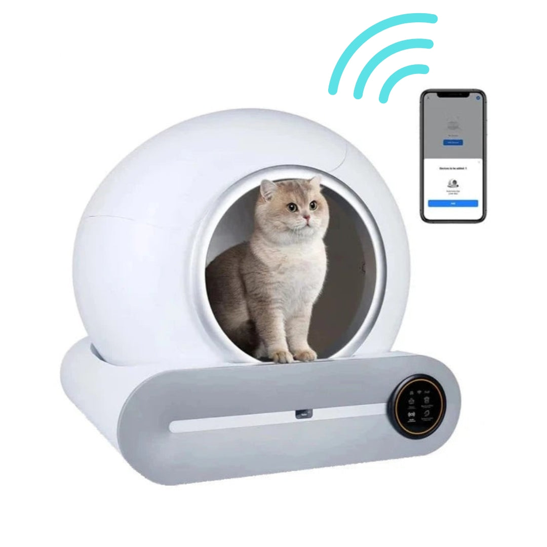 litière automatique pour chat
