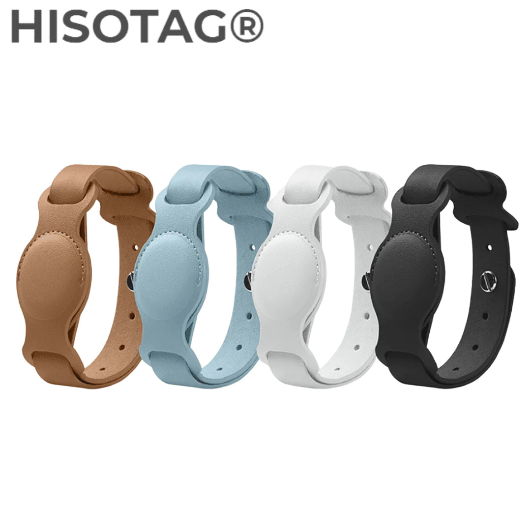 collier airtag pour chien