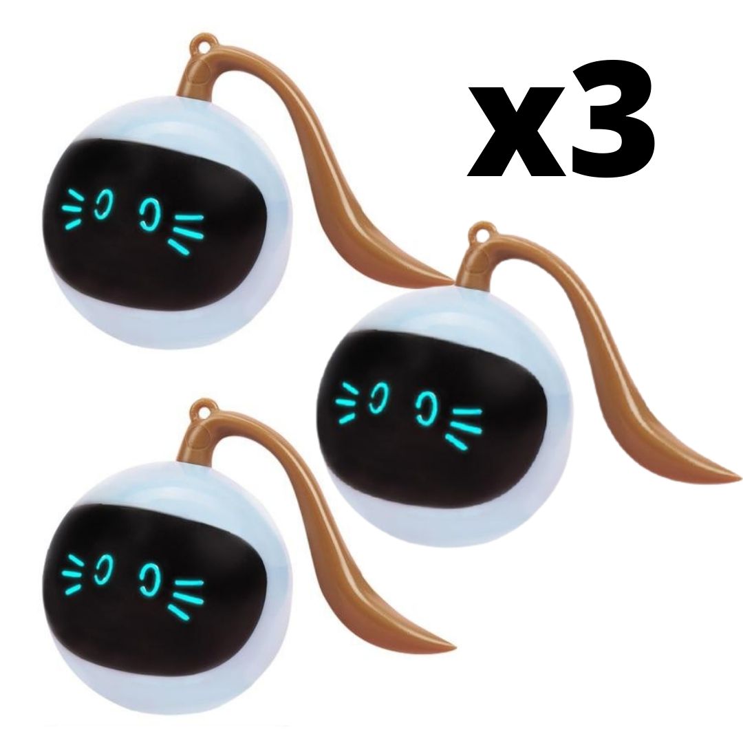 balle chat interactive offert