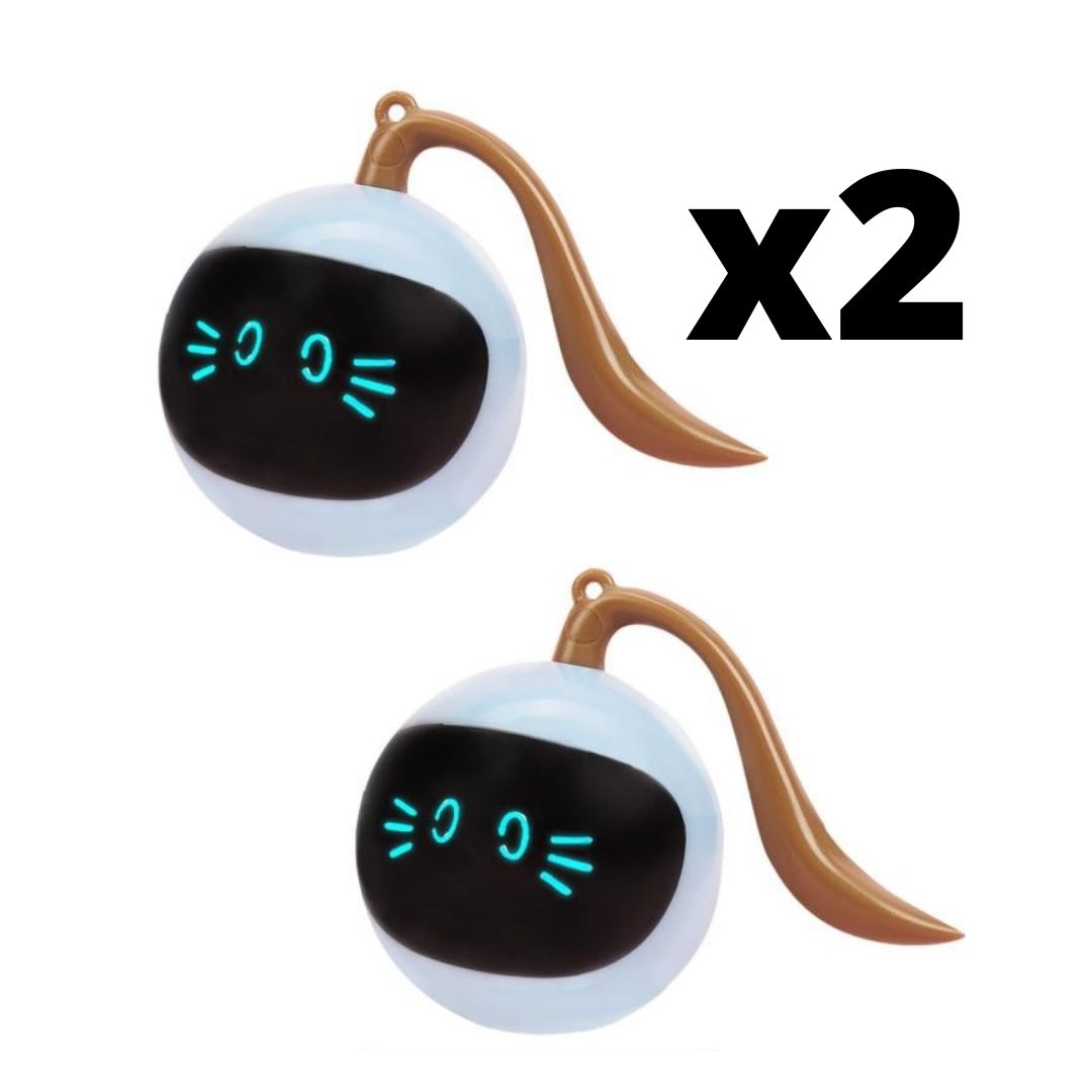 balle chat interactive promotion