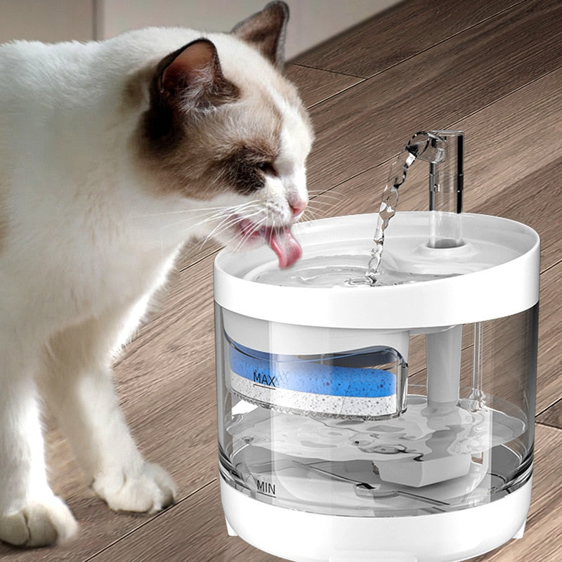 Fontaine à eau pour chats - Fontaine à chat - Fontaine à eau chat