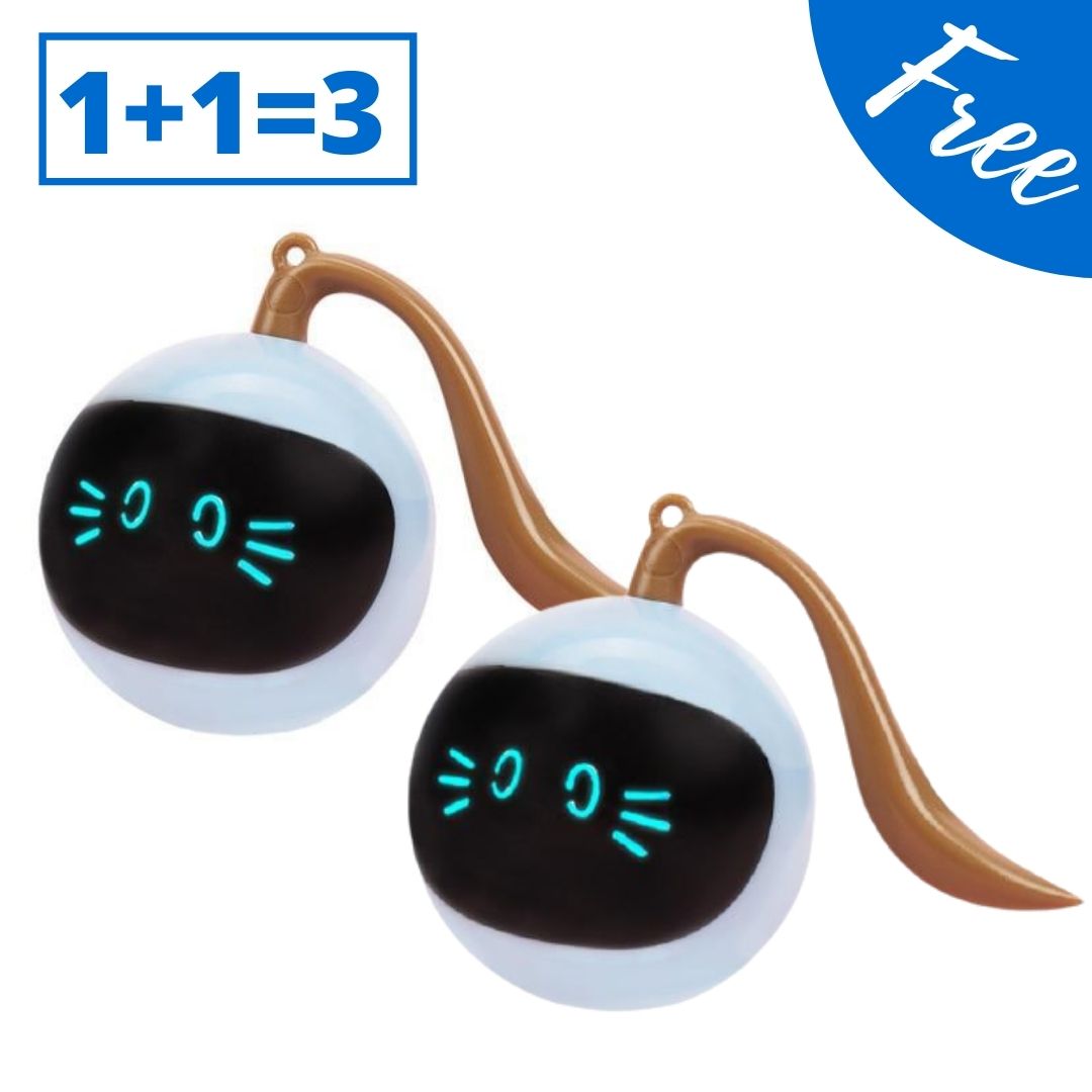 balle interactive chat offert