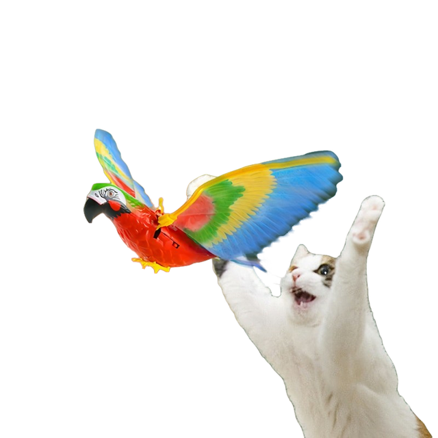 Jouet oiseau volant pour chats, 2pcs batterie simulée oiseaux jouet  interactif de chat, Électrique Flying Eagle Parrot Shape Hanging Flying  Pet Toys pour Chats