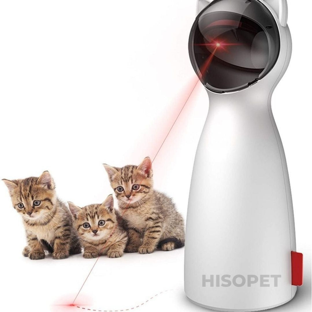 Jouet laser pour chat automatique, jouet interactif pour chat pour