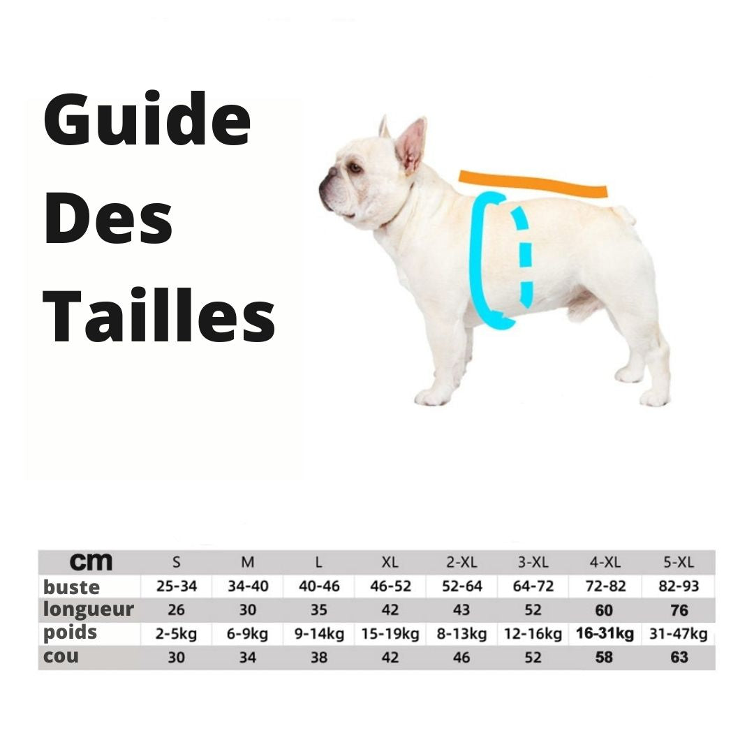 manteau chien reflechissant guide tailles