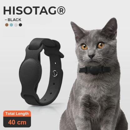 collier airtag noir chat gris