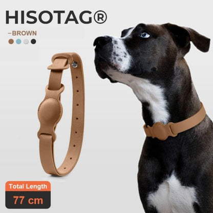 collier airtag chien marron cuir