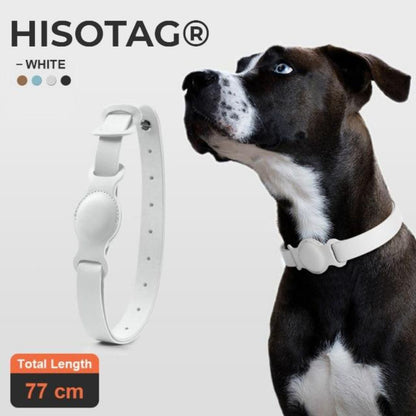 collier airtag chien blanc cuir