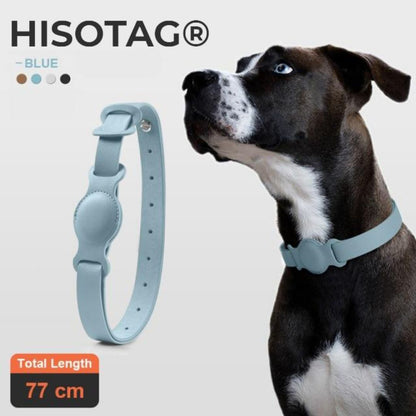 collier airtag chien bleu cuir