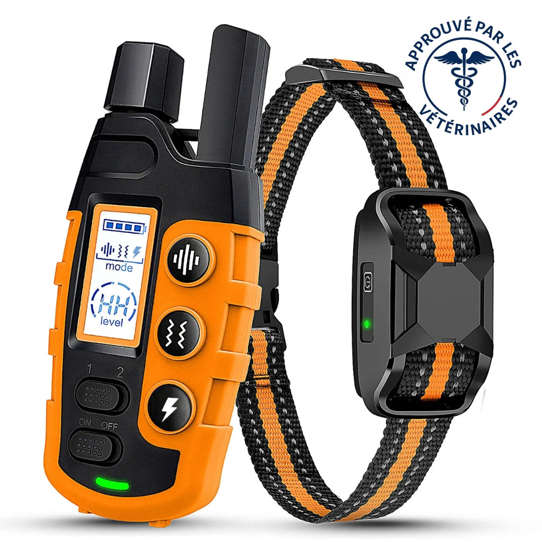 ROSTO - Collier de Dressage pour Chien avec Télécommande