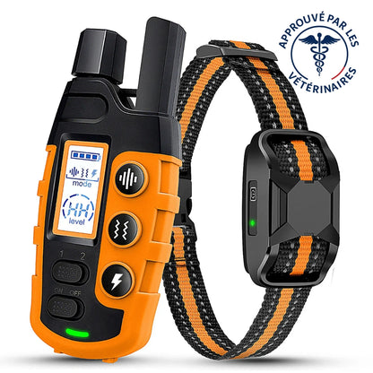 ROSTO - Collier de Dressage pour Chien avec Télécommande