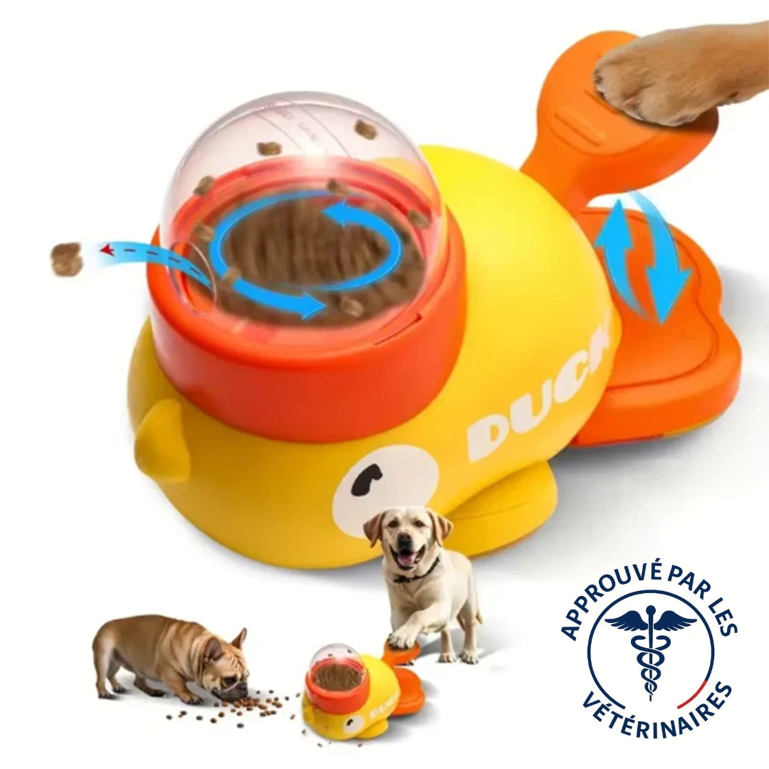 gamelle anti glouton distributeur