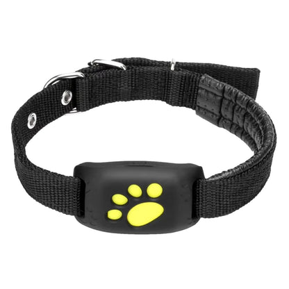 collier gps chat sans abonnement