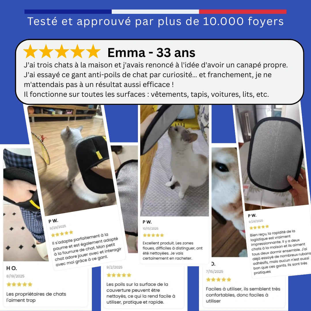 Gant Anti Poils Chat et Chien