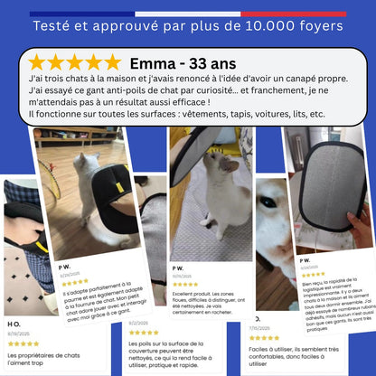 Gant Anti Poils Chat et Chien