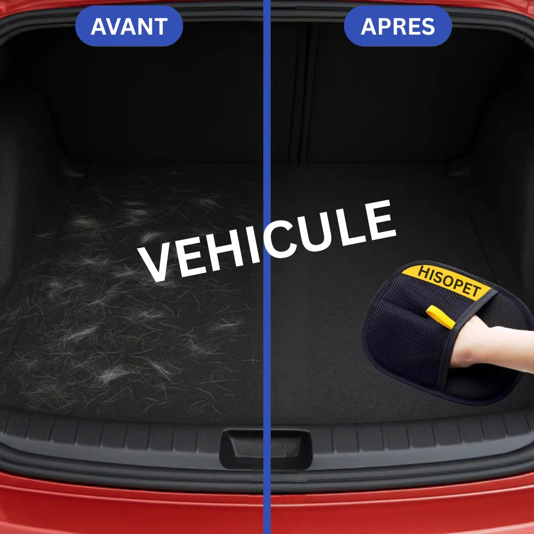 Gant Anti Poils Chat et Chien