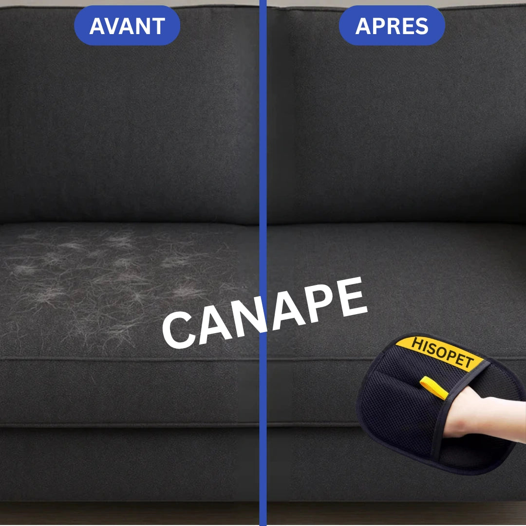haar handschuh katze Antihaar-Handschuh für Katzen und Hunde – Neue antistatische Version – HisoPet™