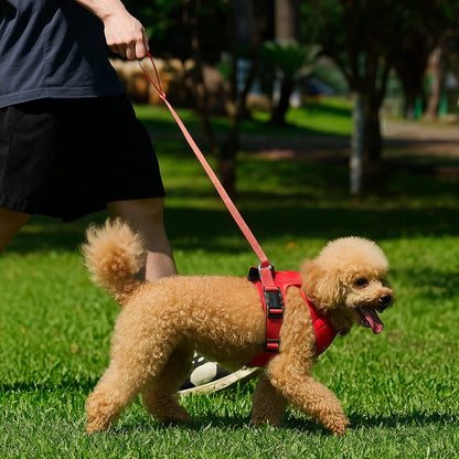 Harnais Chien avec Laisse Rétractable Intégrée