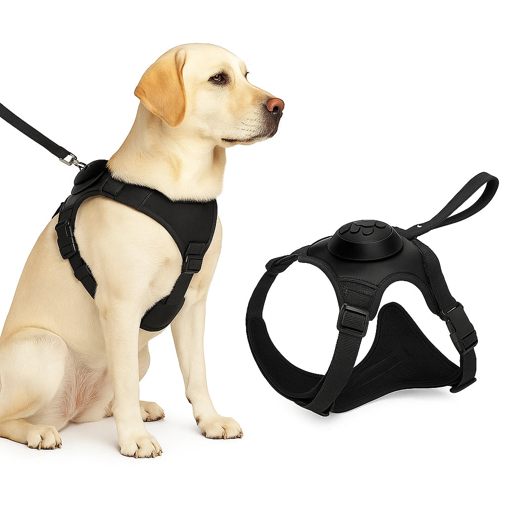 Harnais Chien avec Laisse Rétractable Intégrée