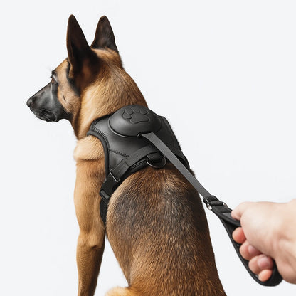 Harnais Chien avec Laisse Rétractable Intégrée