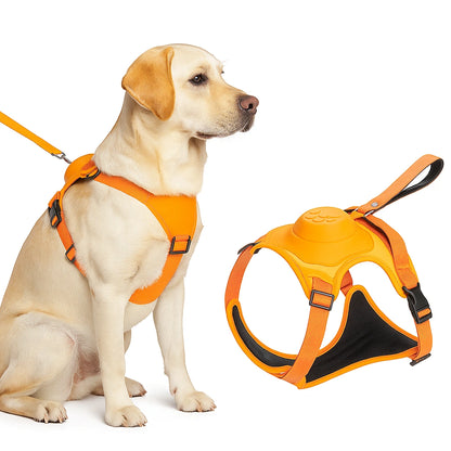 Harnais Chien avec Laisse Rétractable Intégrée