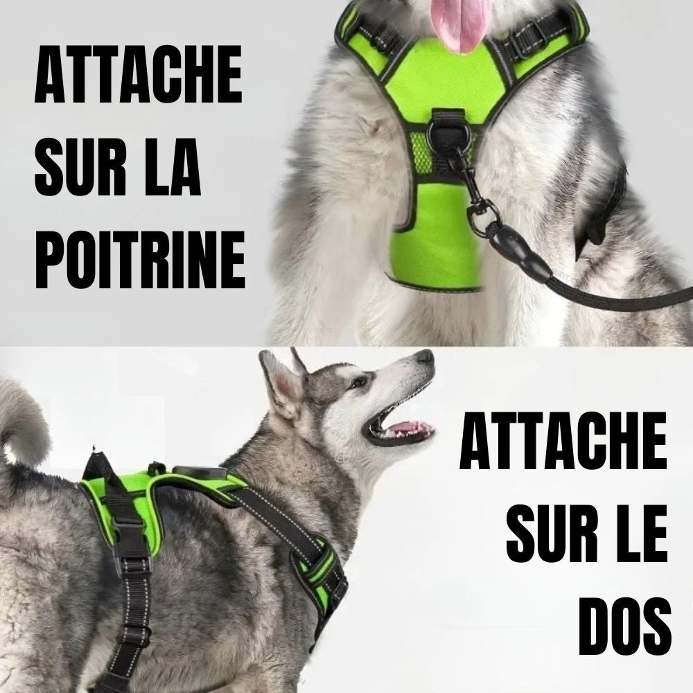 Harnais anti-traction chien bandes réfléchissantes