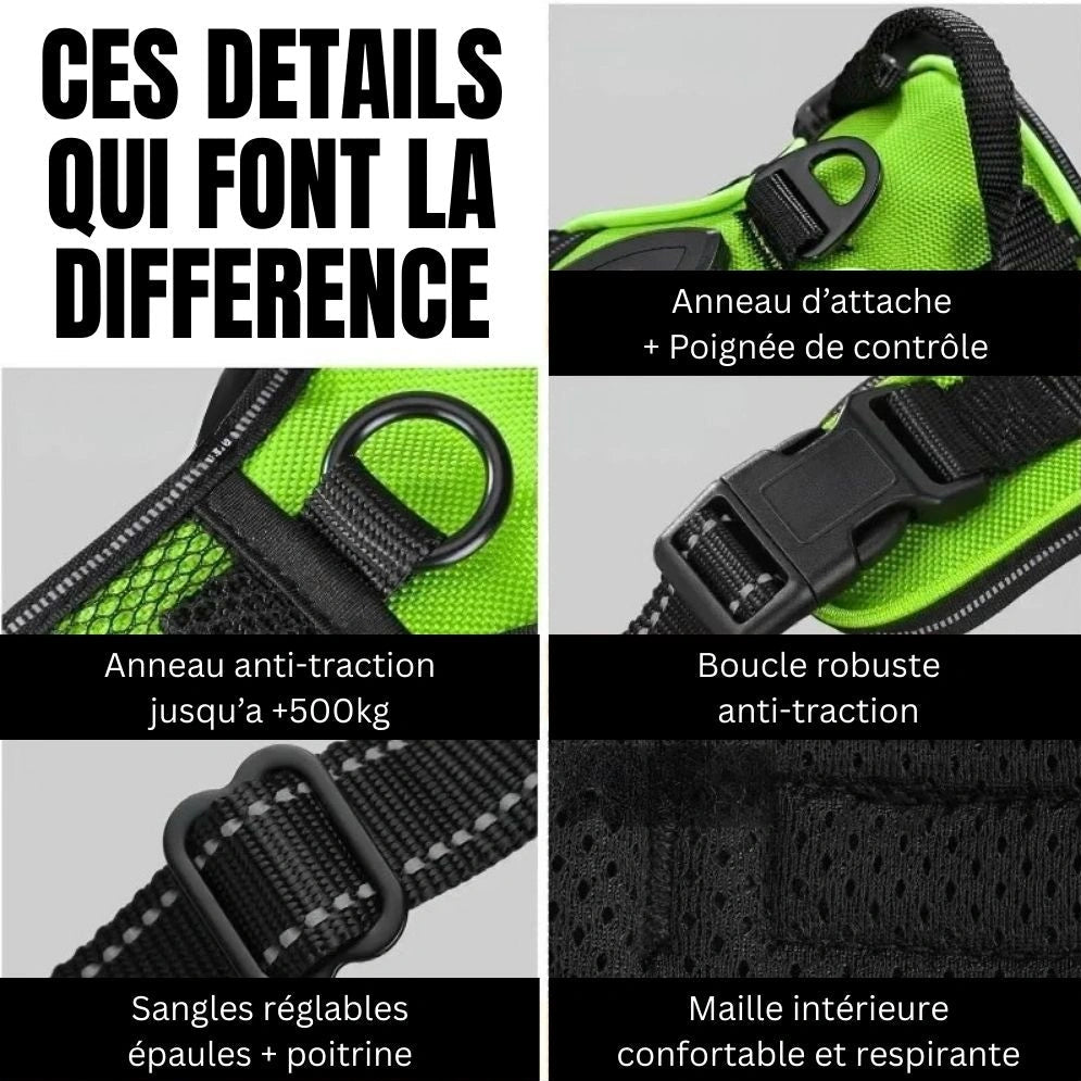 Harnais chien ajustable 4 sangles réglables