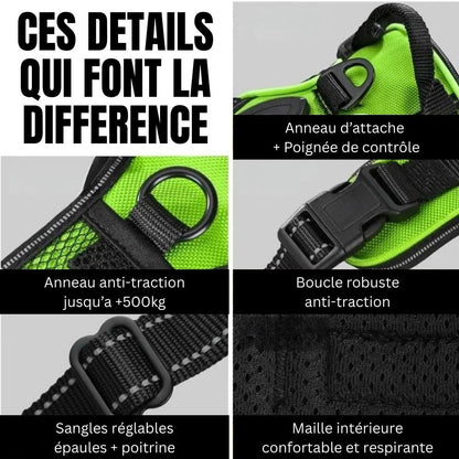 Harnais chien ajustable 4 sangles réglables