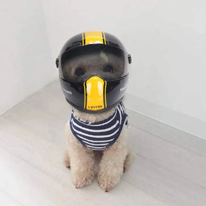 casque moto chien