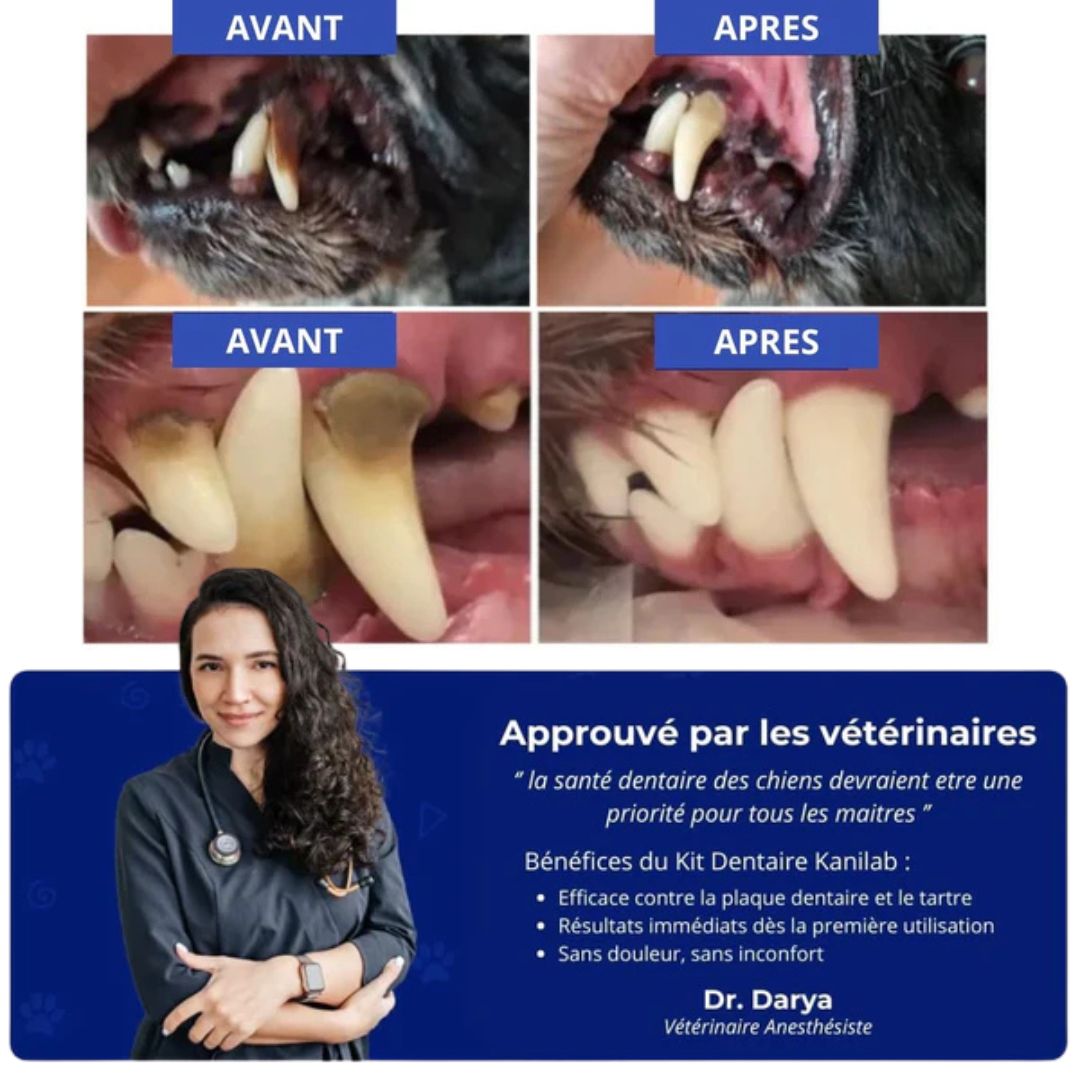 DETARTREUR POUR CHIEN 