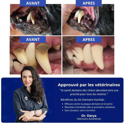 DETARTREUR POUR CHIEN 