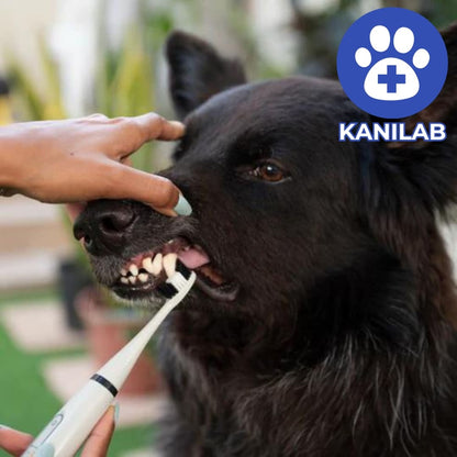 KANILAB - Détartreur Dentaire pour Chien