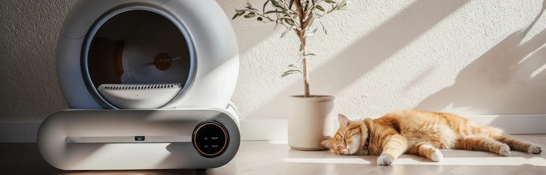 Litière autonettoyante pour chat 