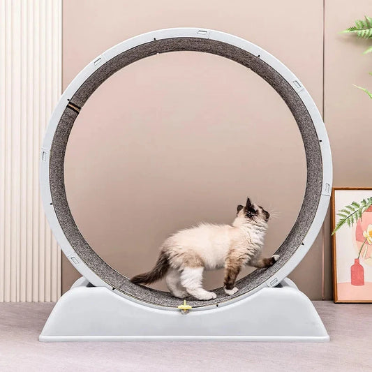 ROLER - Roue d'Exercice pour Chat