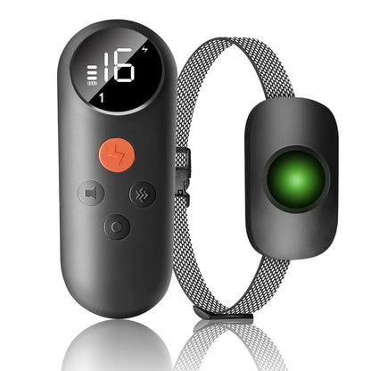 iDOG - Collier de Dressage Intelligent pour Chien