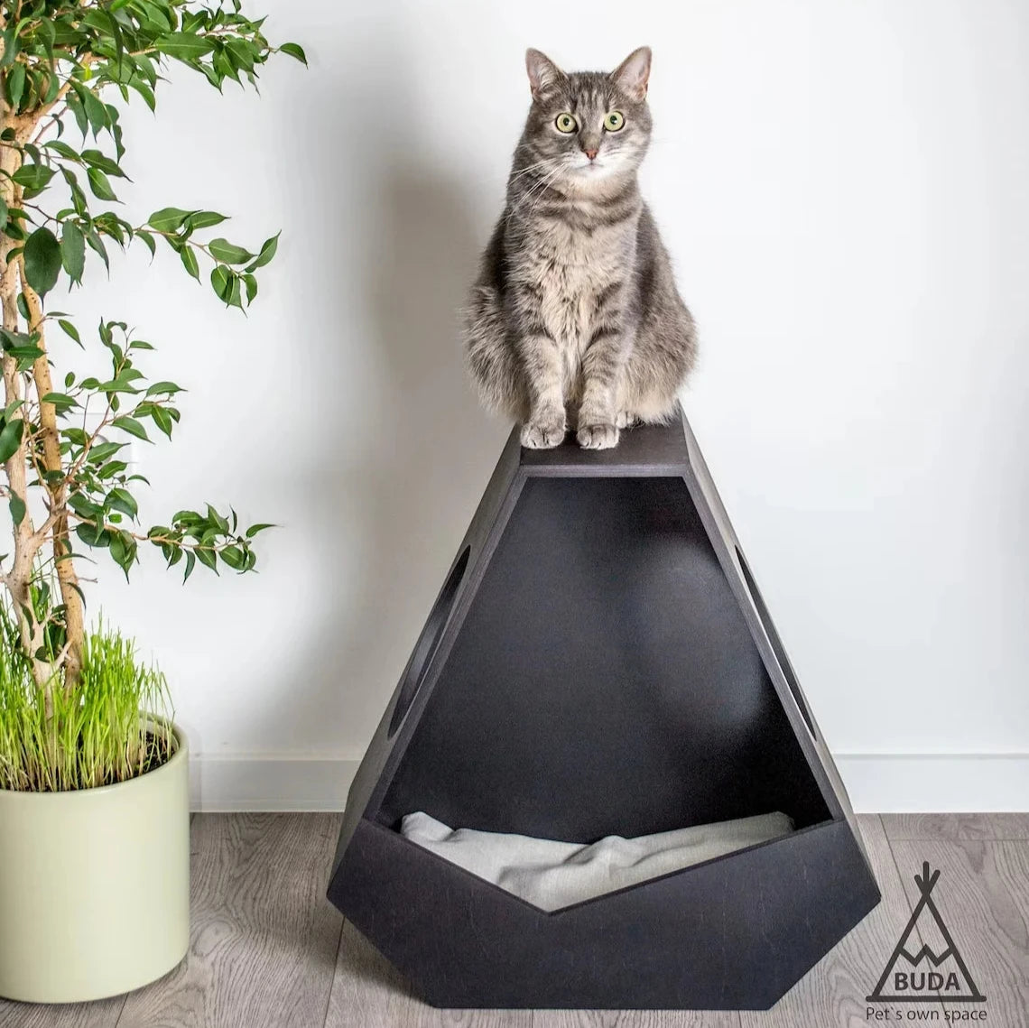 PYTHA - Niche pour Chat Design