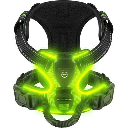 Harnais anti-traction en Y lumineux pour chien avec LED
