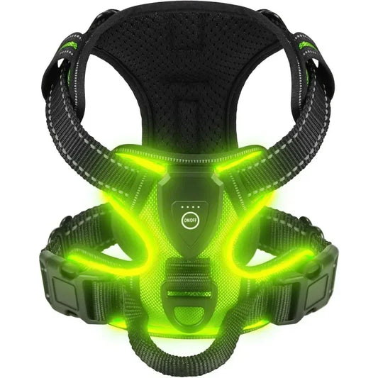Harnais anti-traction en Y lumineux pour chien avec LED