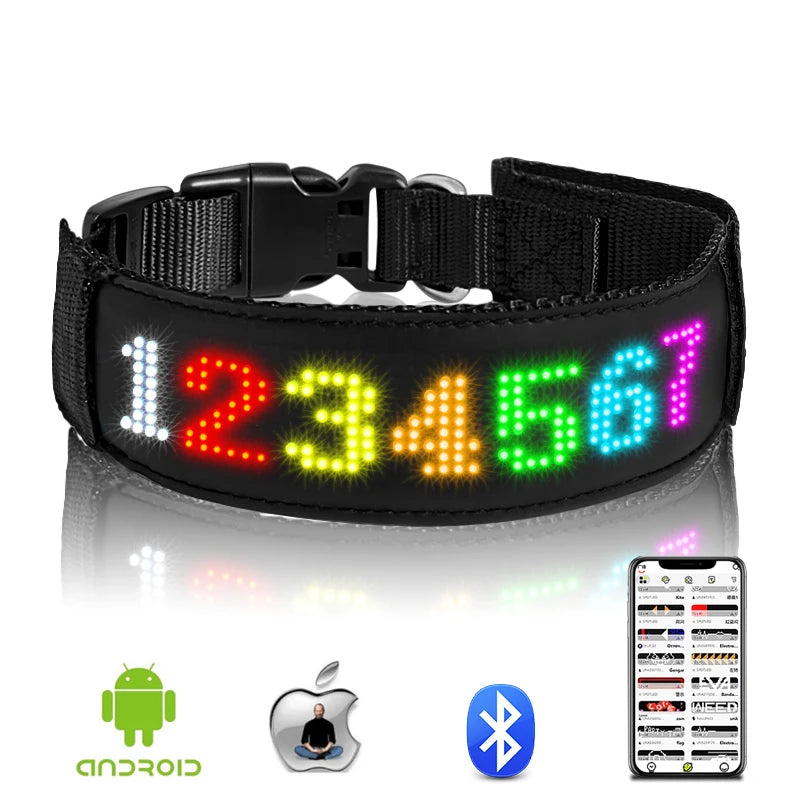 collier LED pour chien