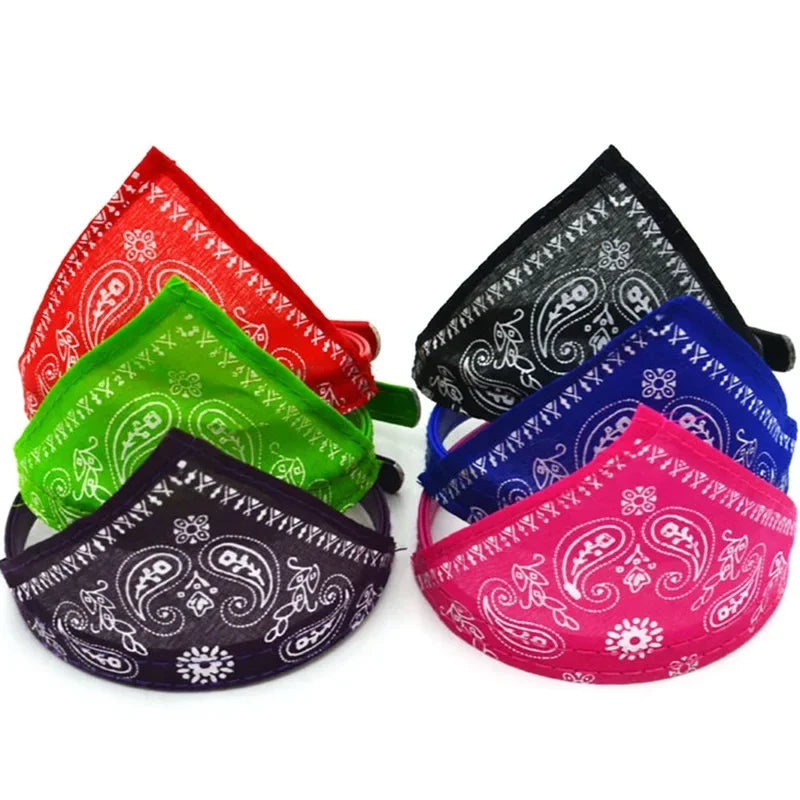 Collier Bandana pour Chat