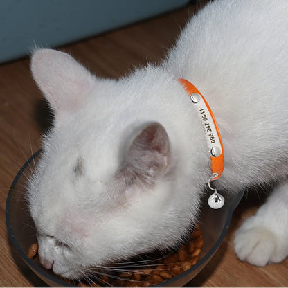 Collier pour Chat Personnalisé en Cuir