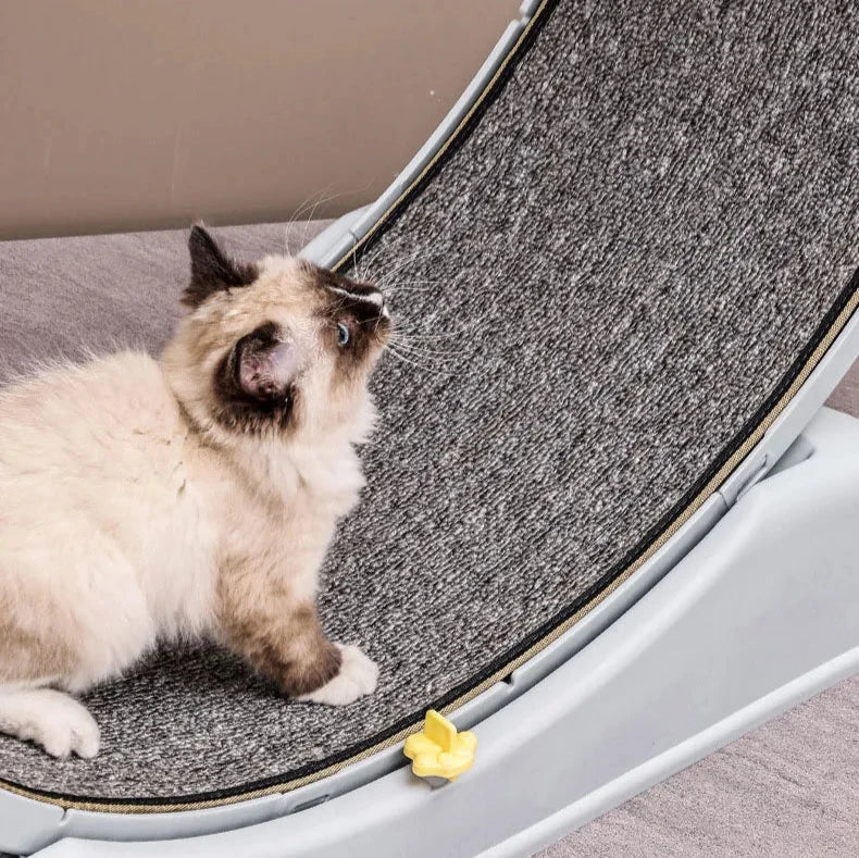 ROLER - Roue d'Exercice pour Chat