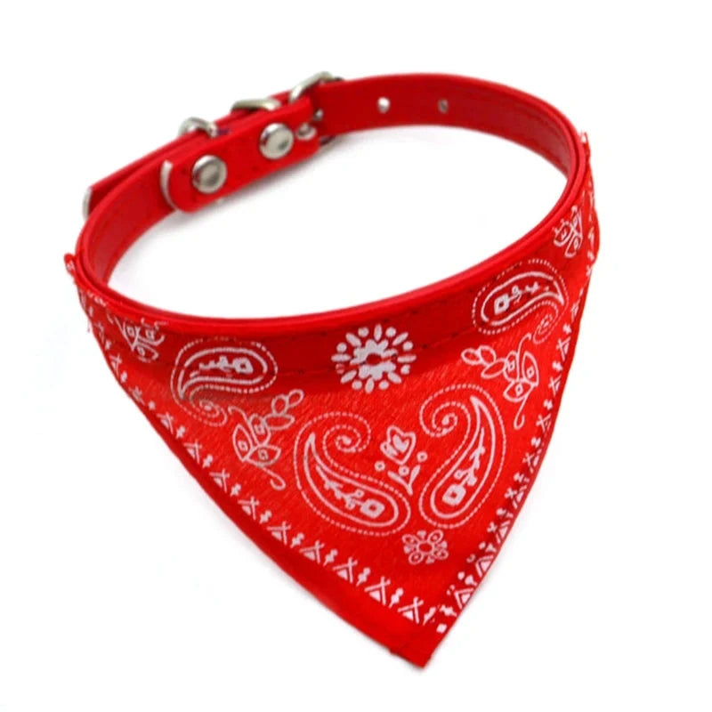 Collier Bandana pour Chat