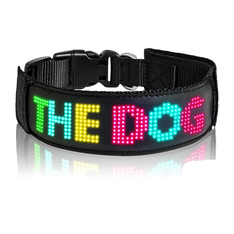 collier lumineux pour chien