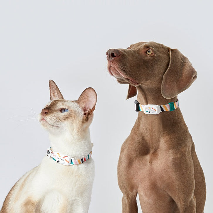 Collier GPS Chat - Petkit Smart Tag