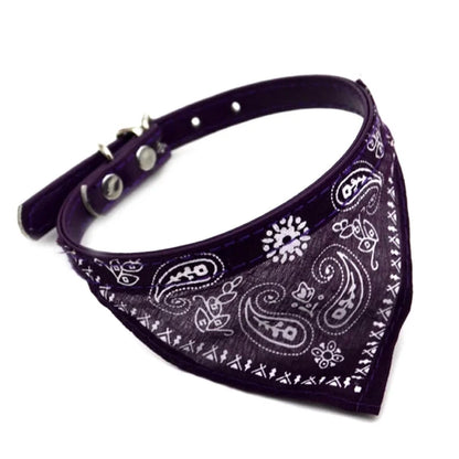 Collier Bandana pour Chat