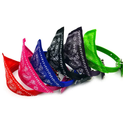 Collier Bandana pour Chat