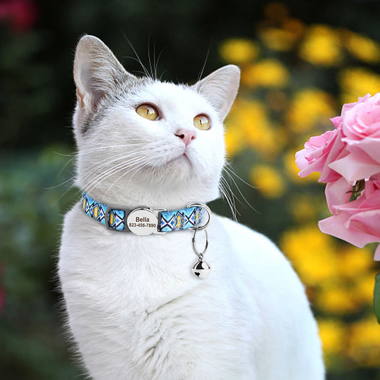 Collier pour Chat Personnalisé et Anti Étranglement