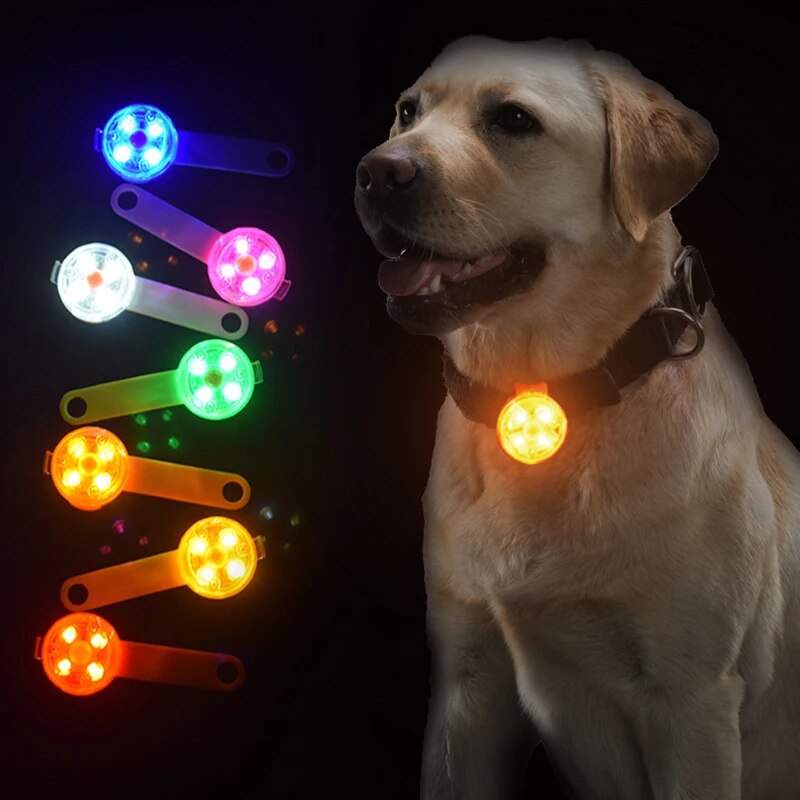 Pendentif Lumineux pour Chien