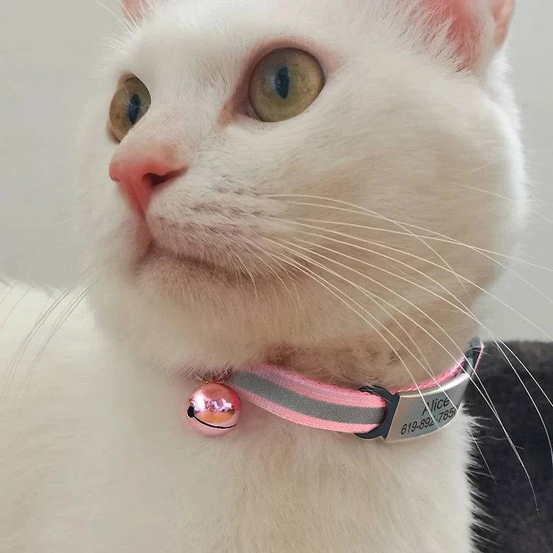 Collier pour Chat Personnalisé Réfléchissant